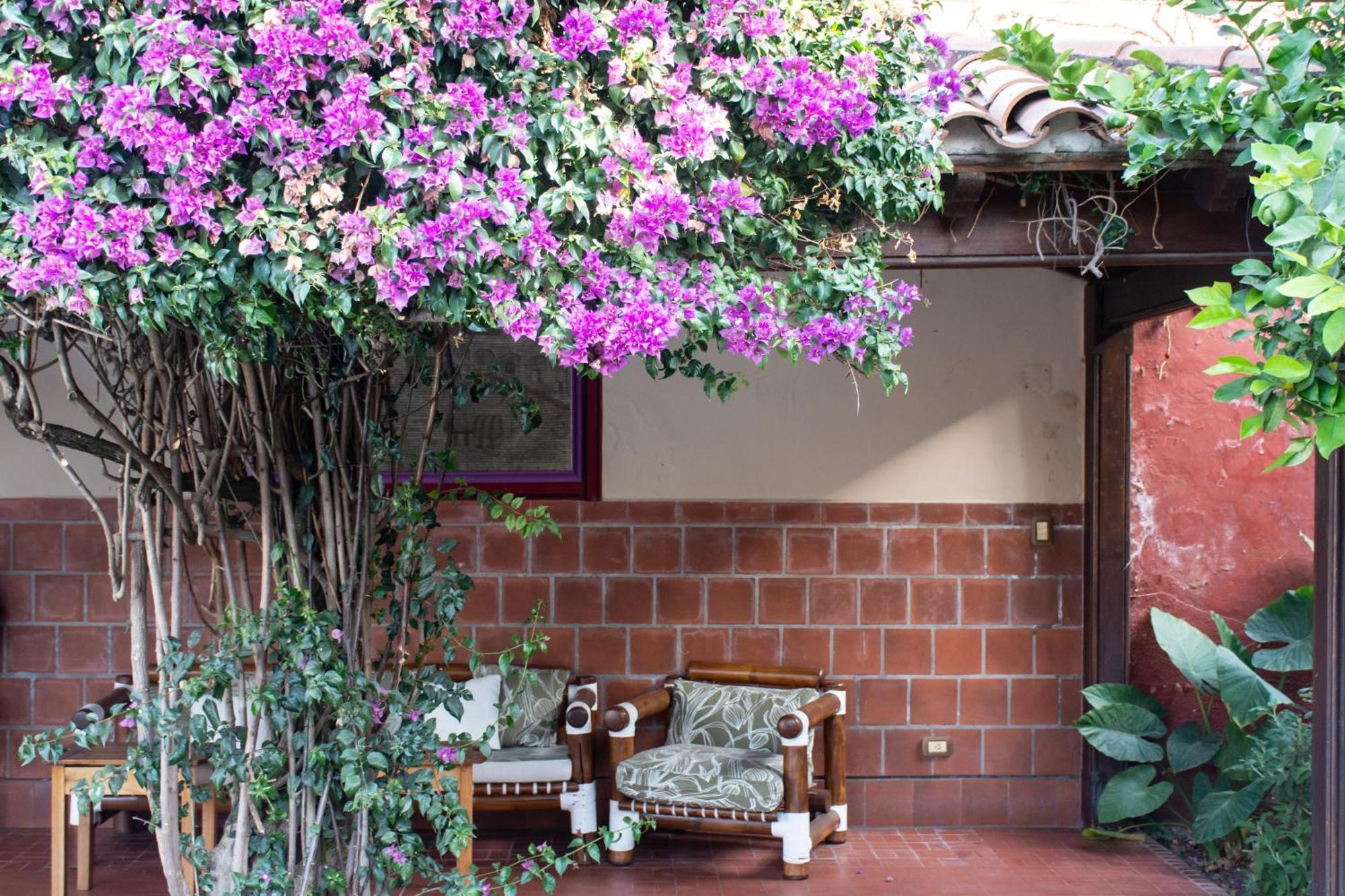 Hotel Boutique La Candela 살타 외부 사진